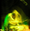 {screen_name}'s avatar